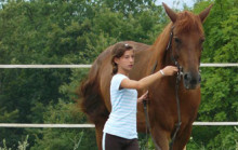 Reiten mit Bonsenso