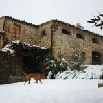 nido-del-falcone_neve