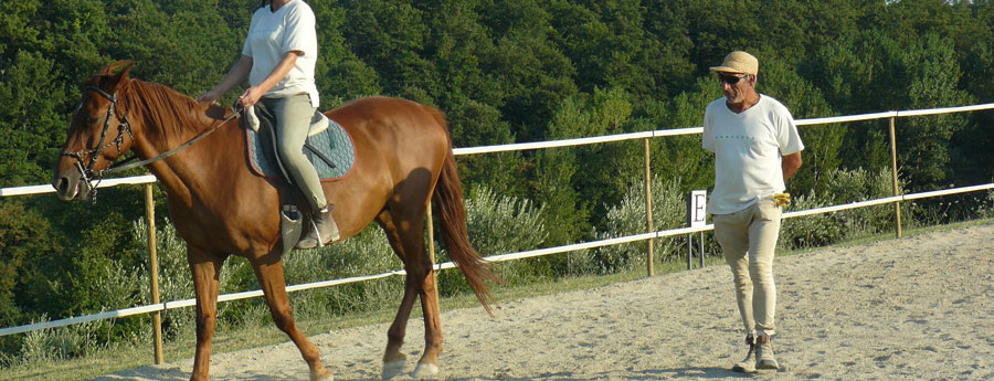 “Cavallo in cammino”